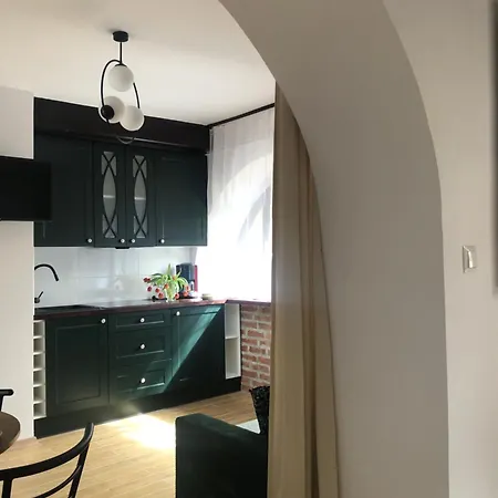 Loft Pod Starym Kasztanem *