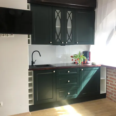 Loft Pod Starym Kasztanem Daire Krynica Zdroj