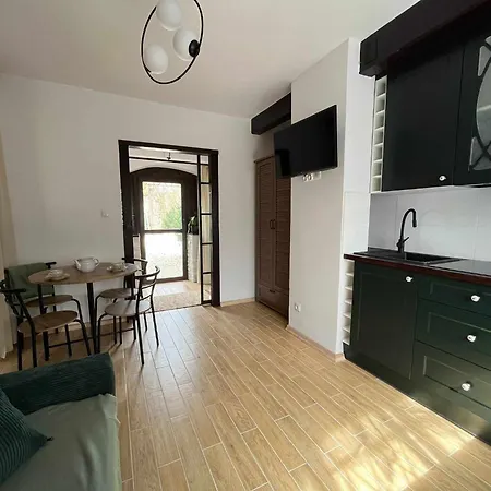 Loft Pod Starym Kasztanem דירה *