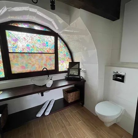 Loft Pod Starym Kasztanem * קריניצה זדרוי